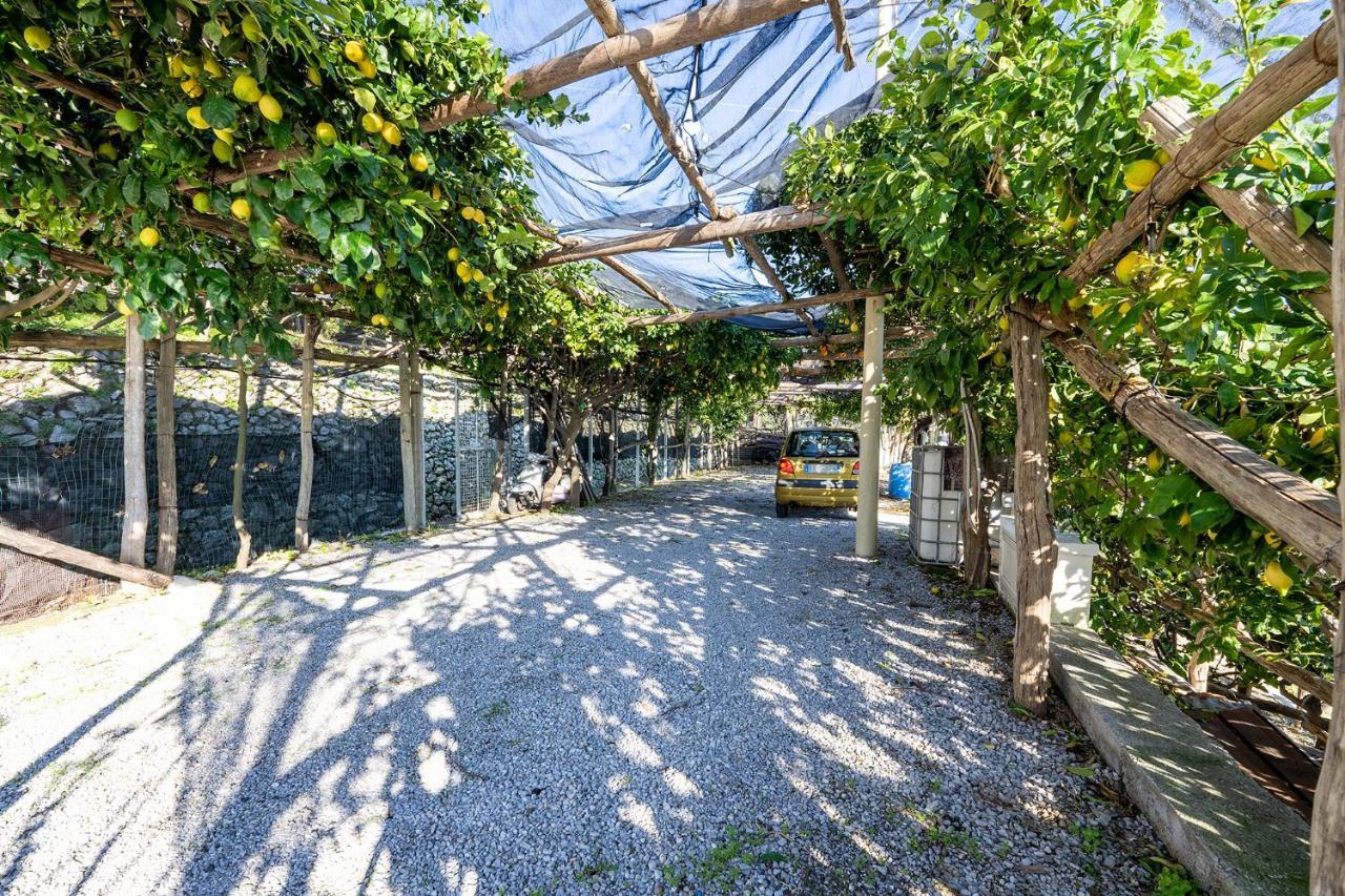 Torre Di - House Apartment
